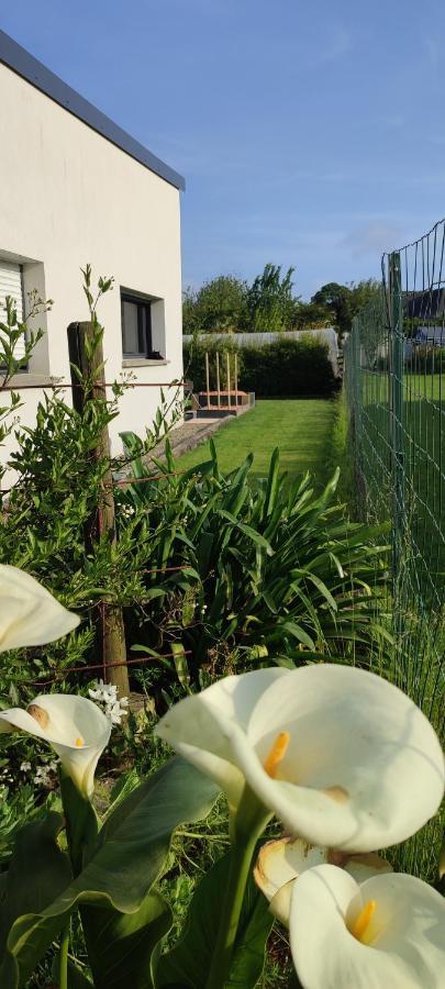 Maison Recente Avec Jardin. Plourhan Eksteriør billede